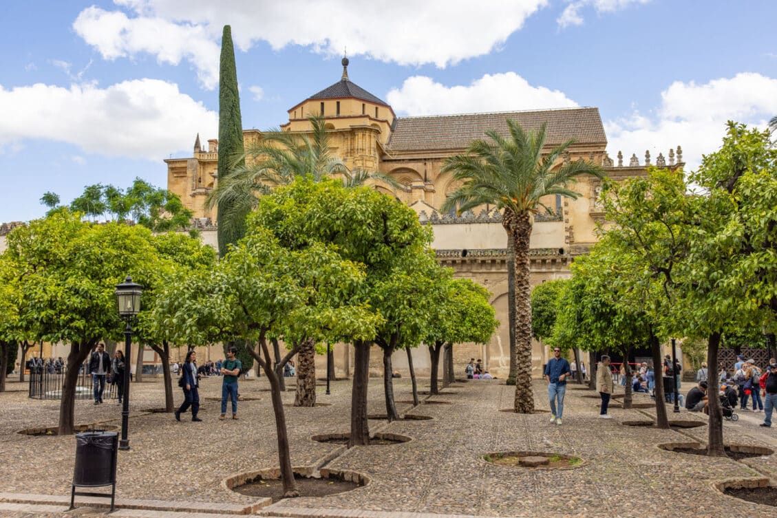 Patio de los Naranjos