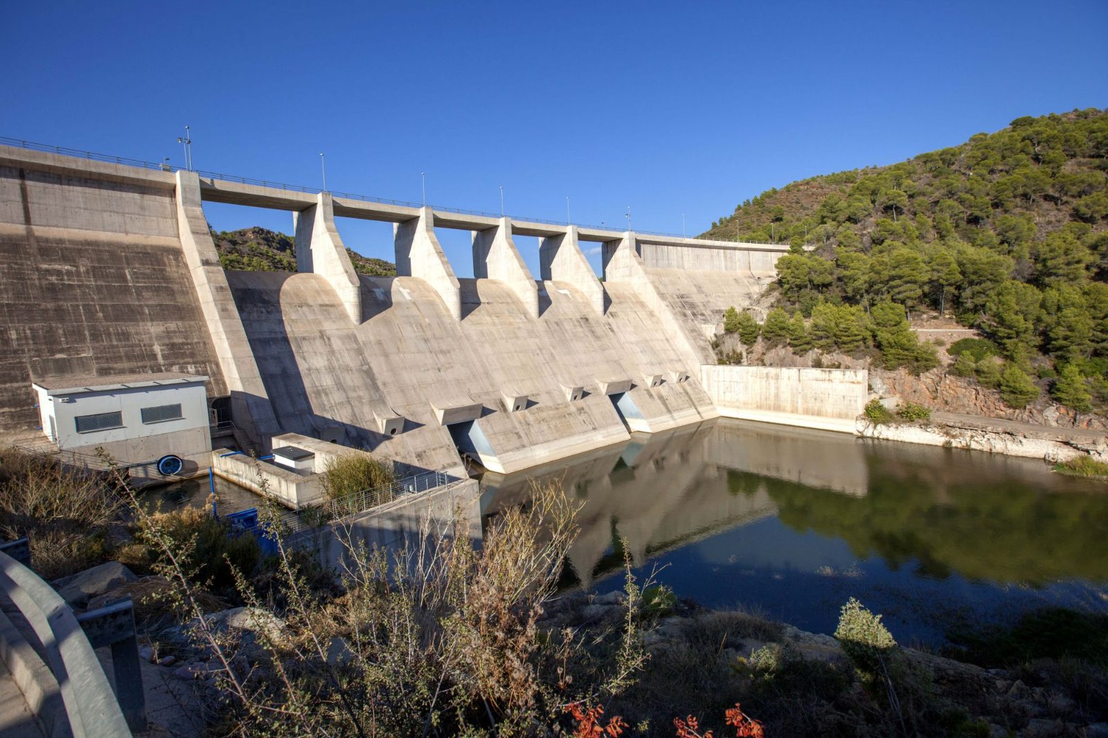 The Old Dam