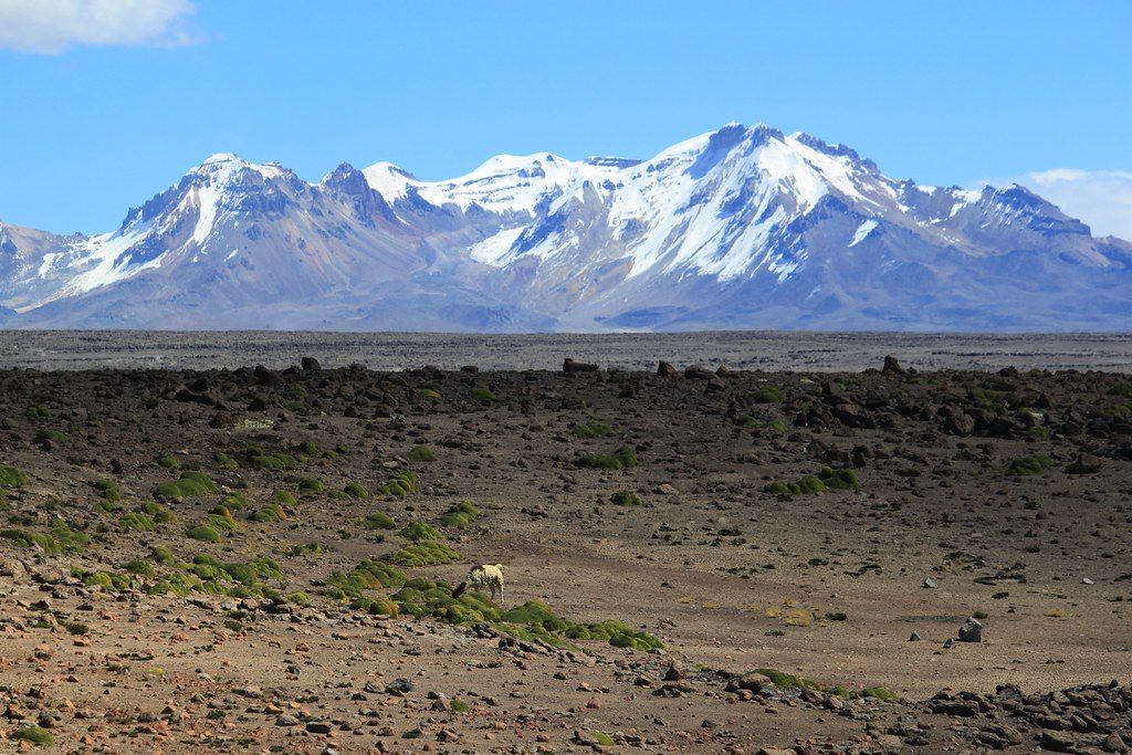 Colca Canyon to Puno Transfer Overview
