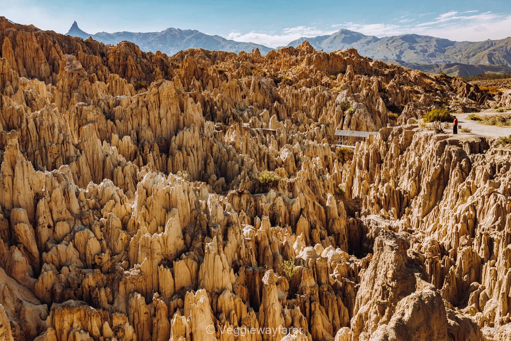 Canyon of the Moon