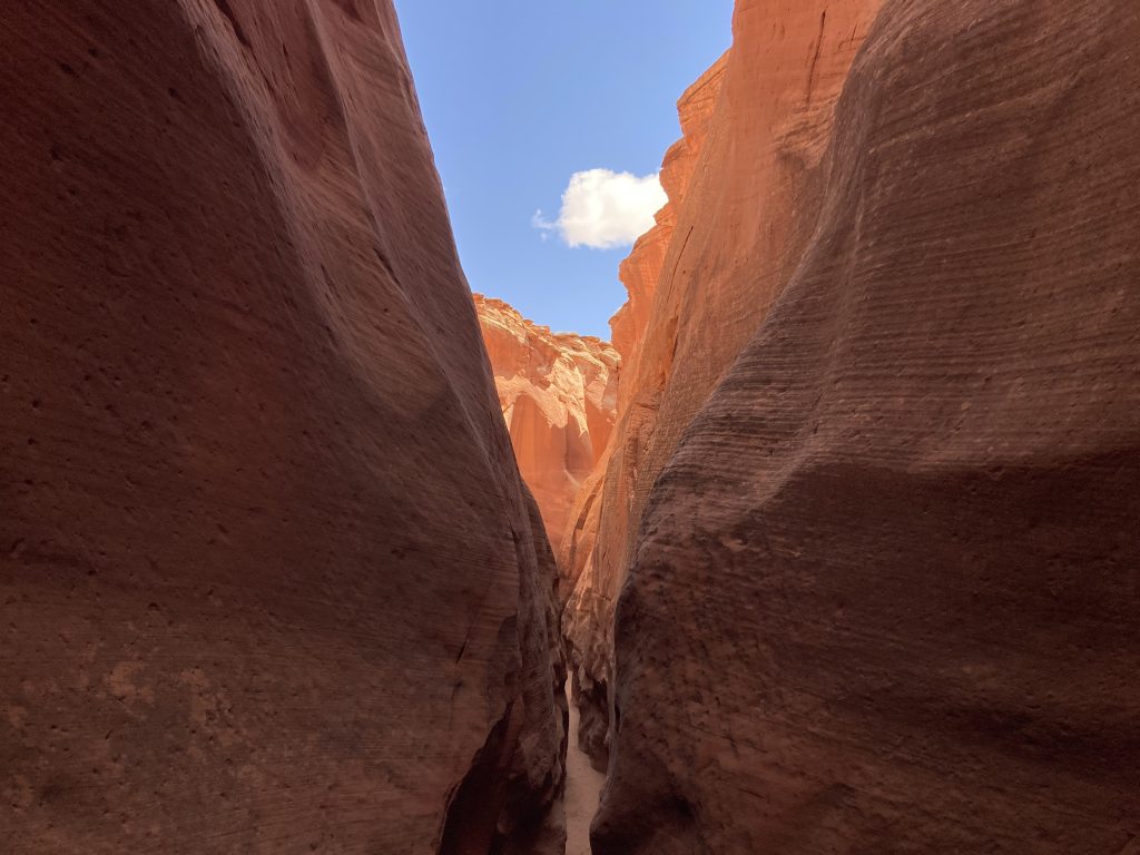 Your experience at La Paz Moon Valley Tour