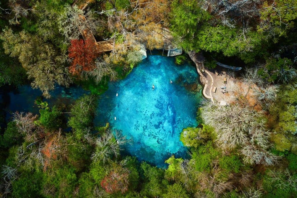 Manatee Kayak Tour Near Orlando Experience