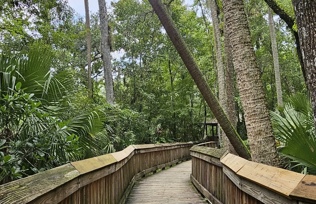 Spring Run Trail