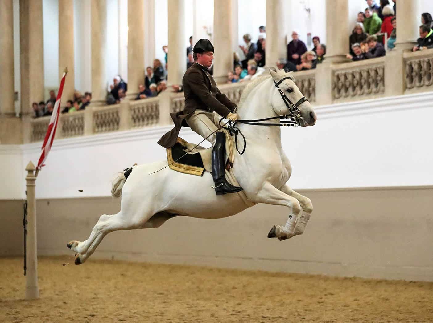 Your experience at Lipizzaner Show Vienna