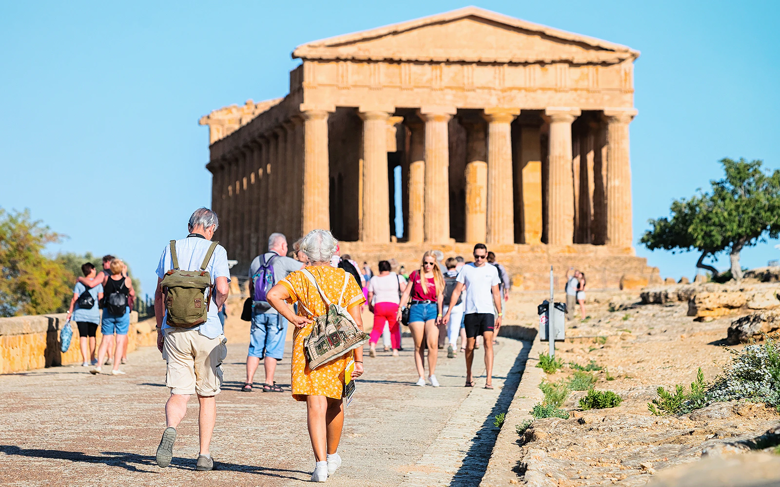 Your experience at Valley of the Temples Tour From Palermo