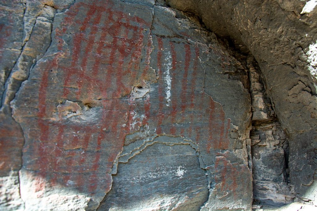 Palaeolithic Paintings