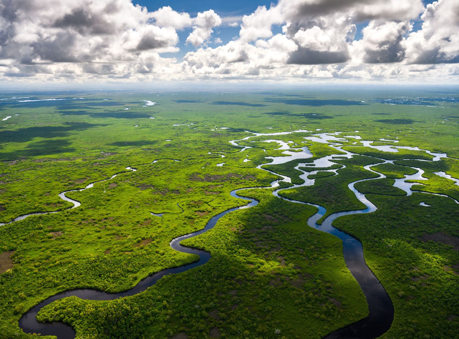 Everglades Tour from Fort Lauderdale Overview