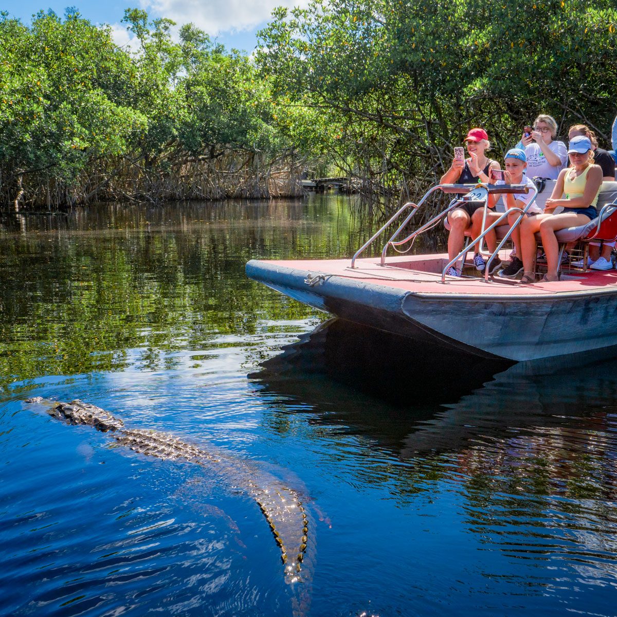 Your experience at Everglades Tour From Fort Lauderdale