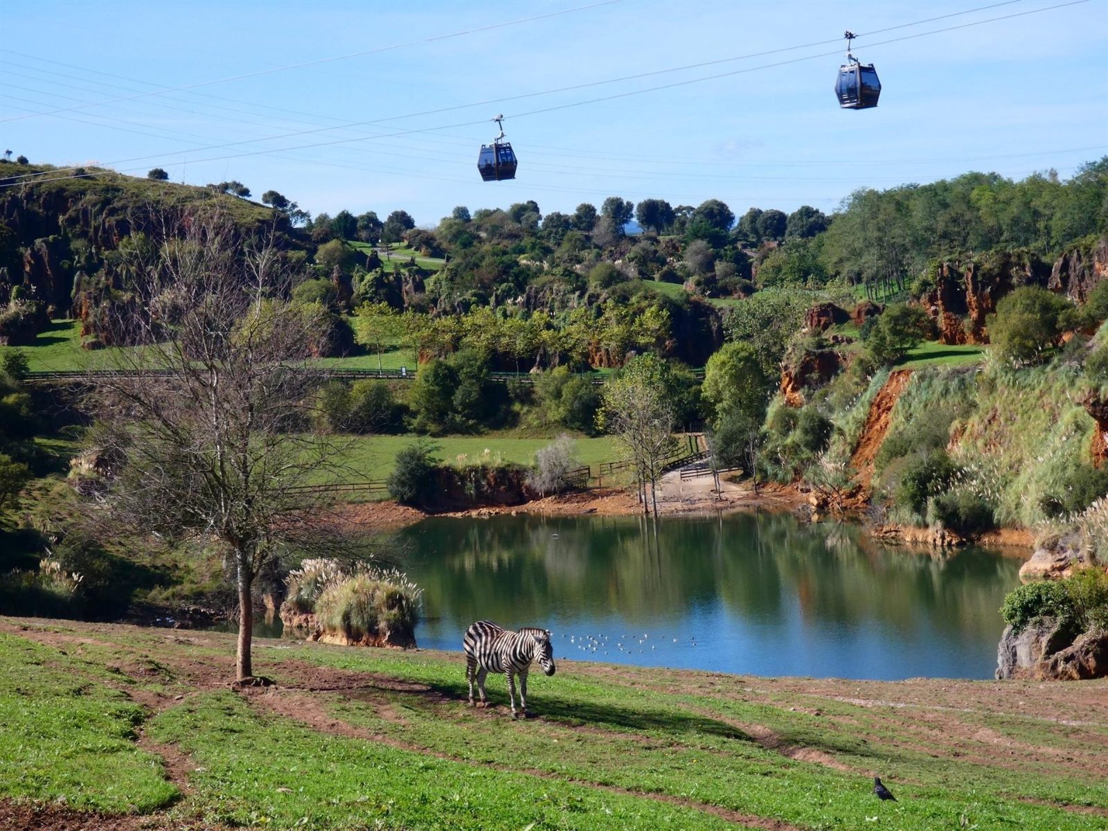 Cabarceno Natural Park Tickets