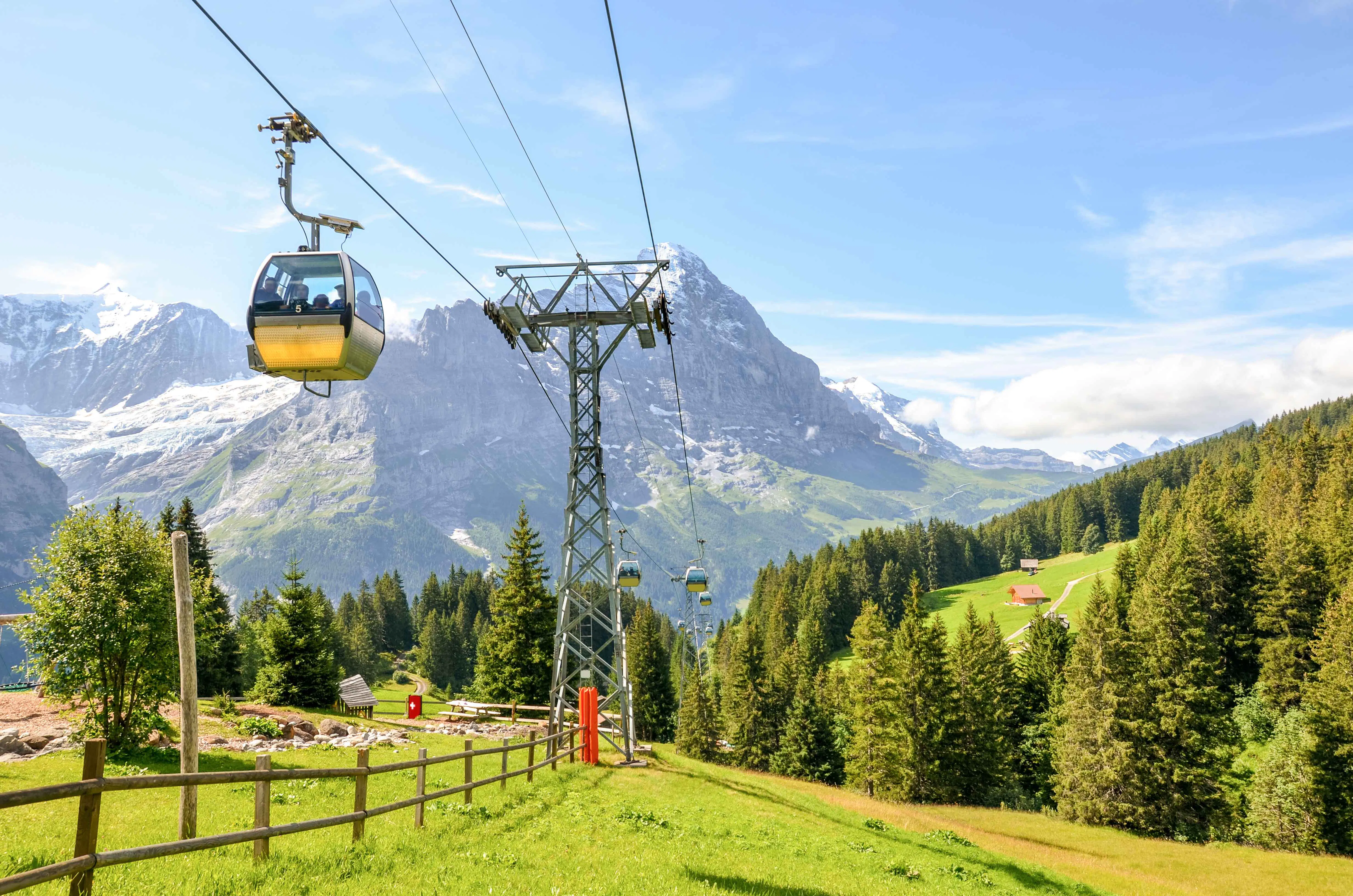 Your experience at Cabarceno Natural Park Tickets