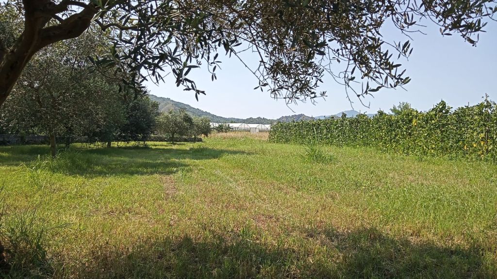 Agriturismo locations