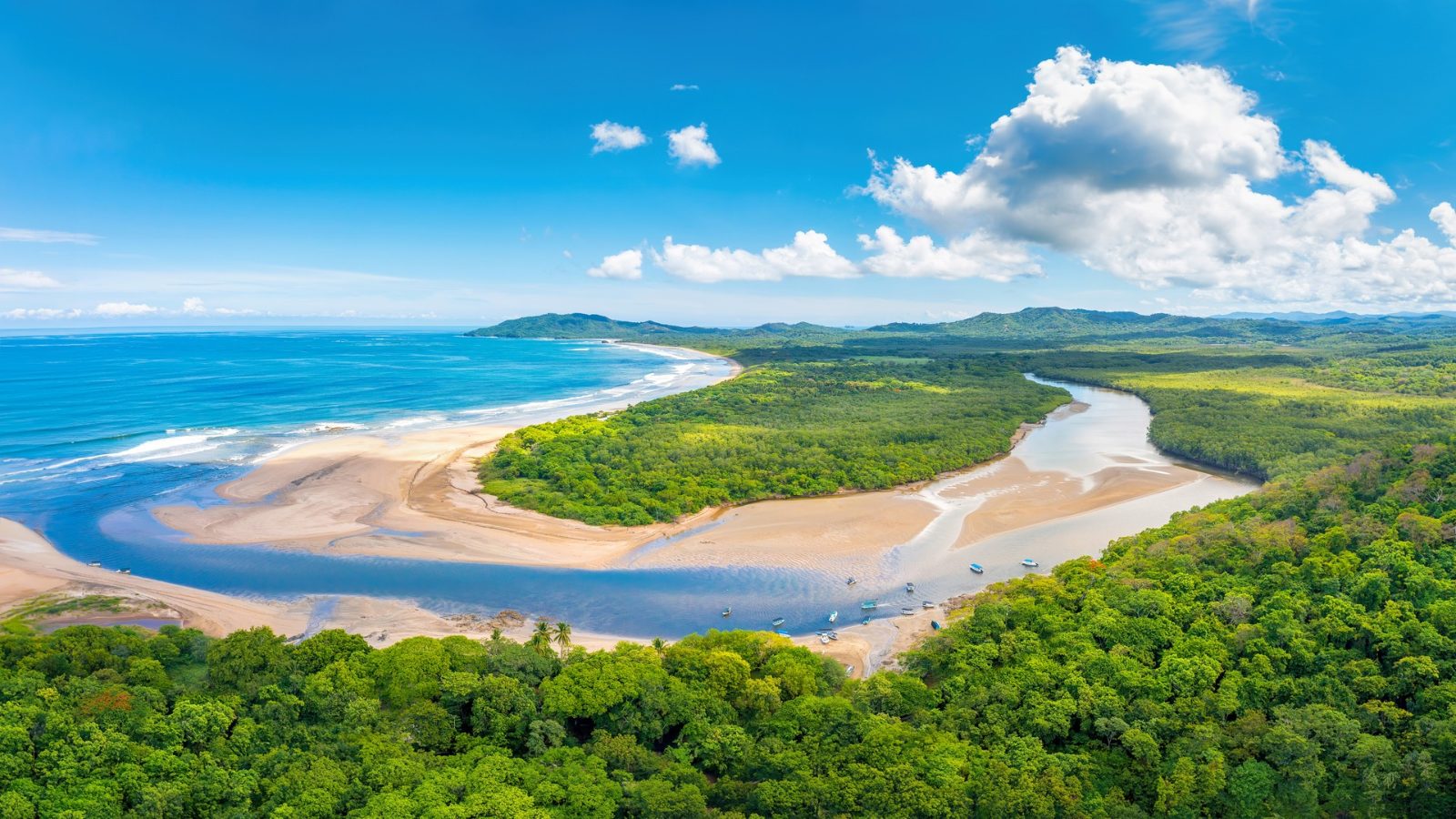 Tamarindo Estuary Kayak Tour Overview