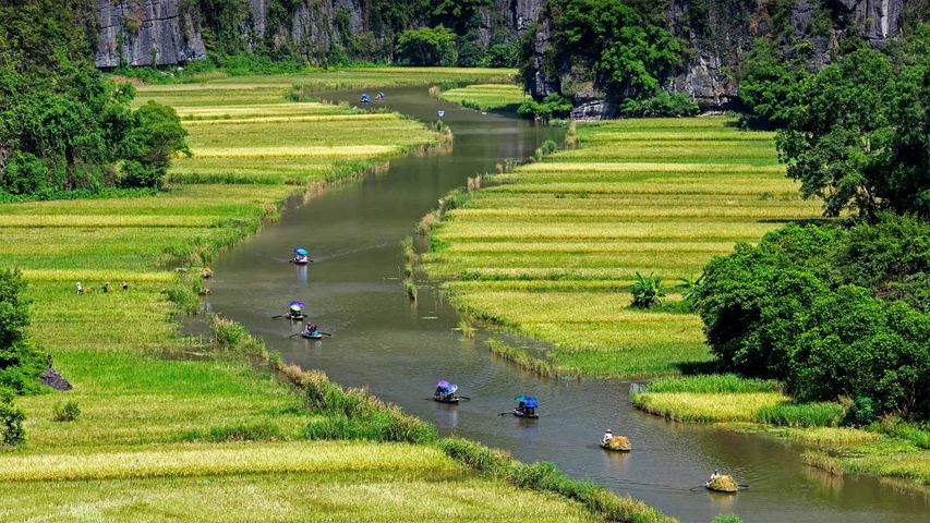 Ngo Dong River