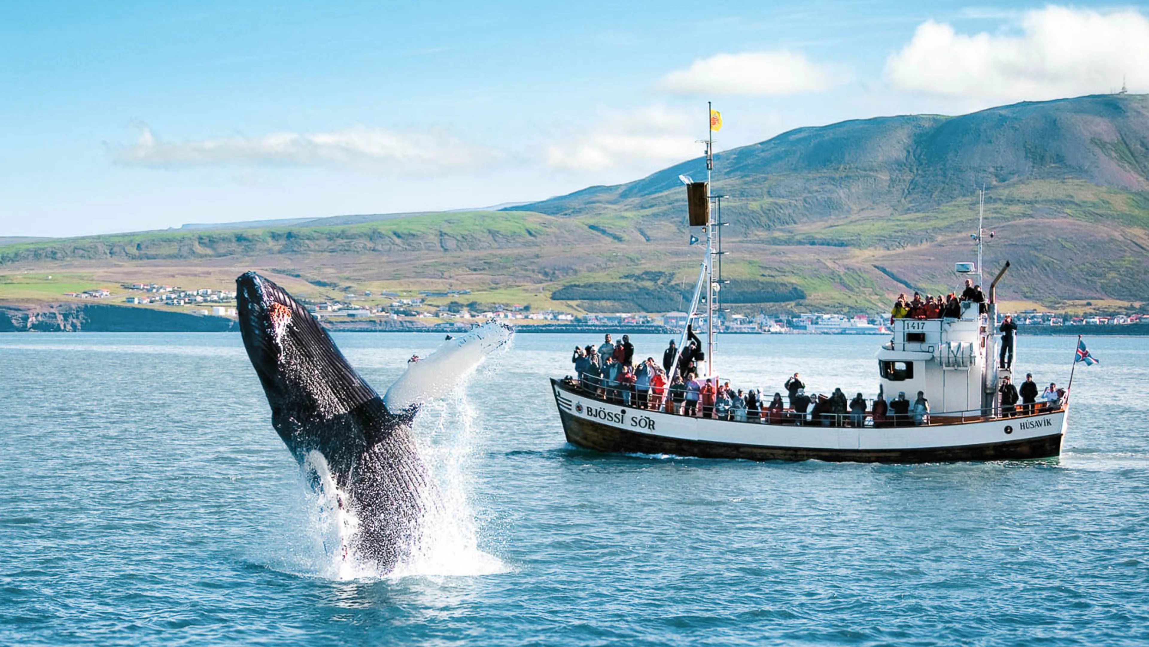 Your experience at Hillarys Boat Harbour Whale Watching