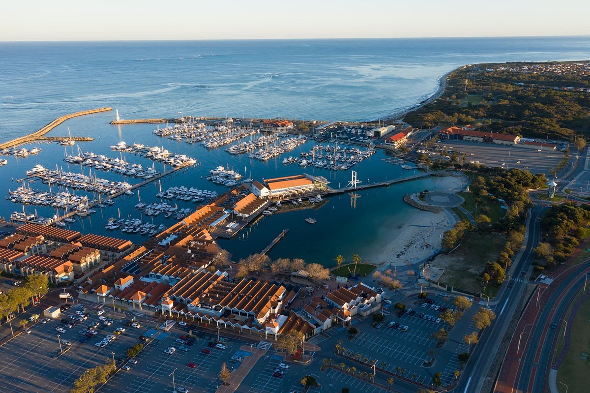 Hillarys Boat Harbour Whale Watching Experience