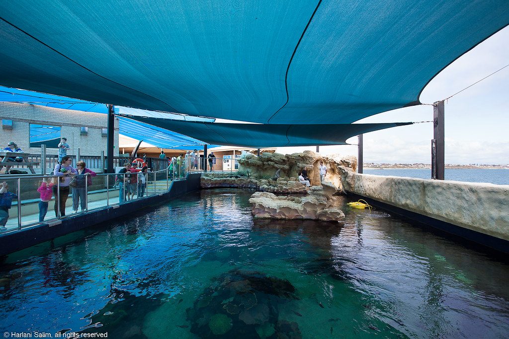 Aquarium of Western Australia