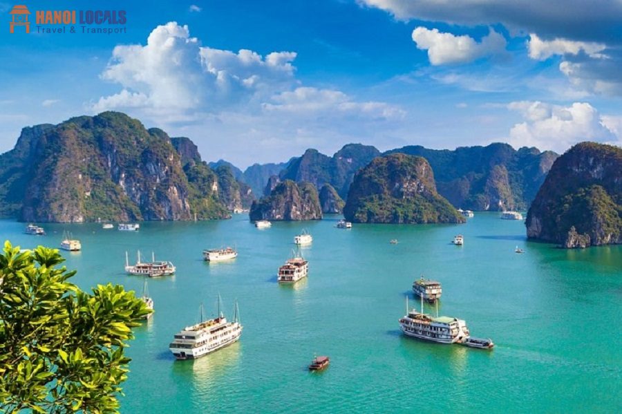 Private Transfer Hanoi to Halong Bay