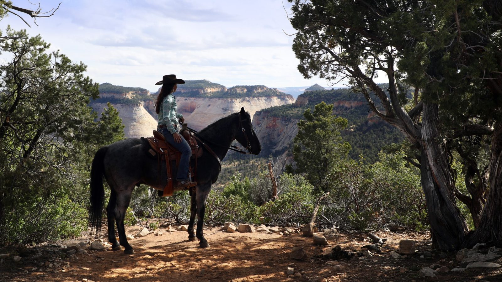 White Mountain Horseback Riding