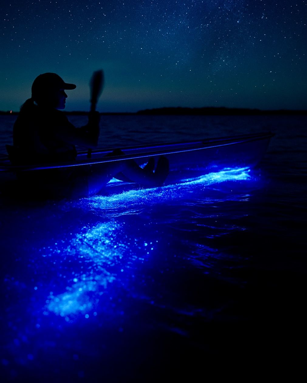 Your experience at Bioluminescent Kayaking Cocoa Beach