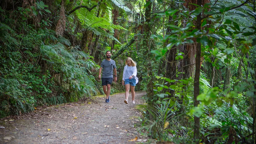 Native Forest Trails