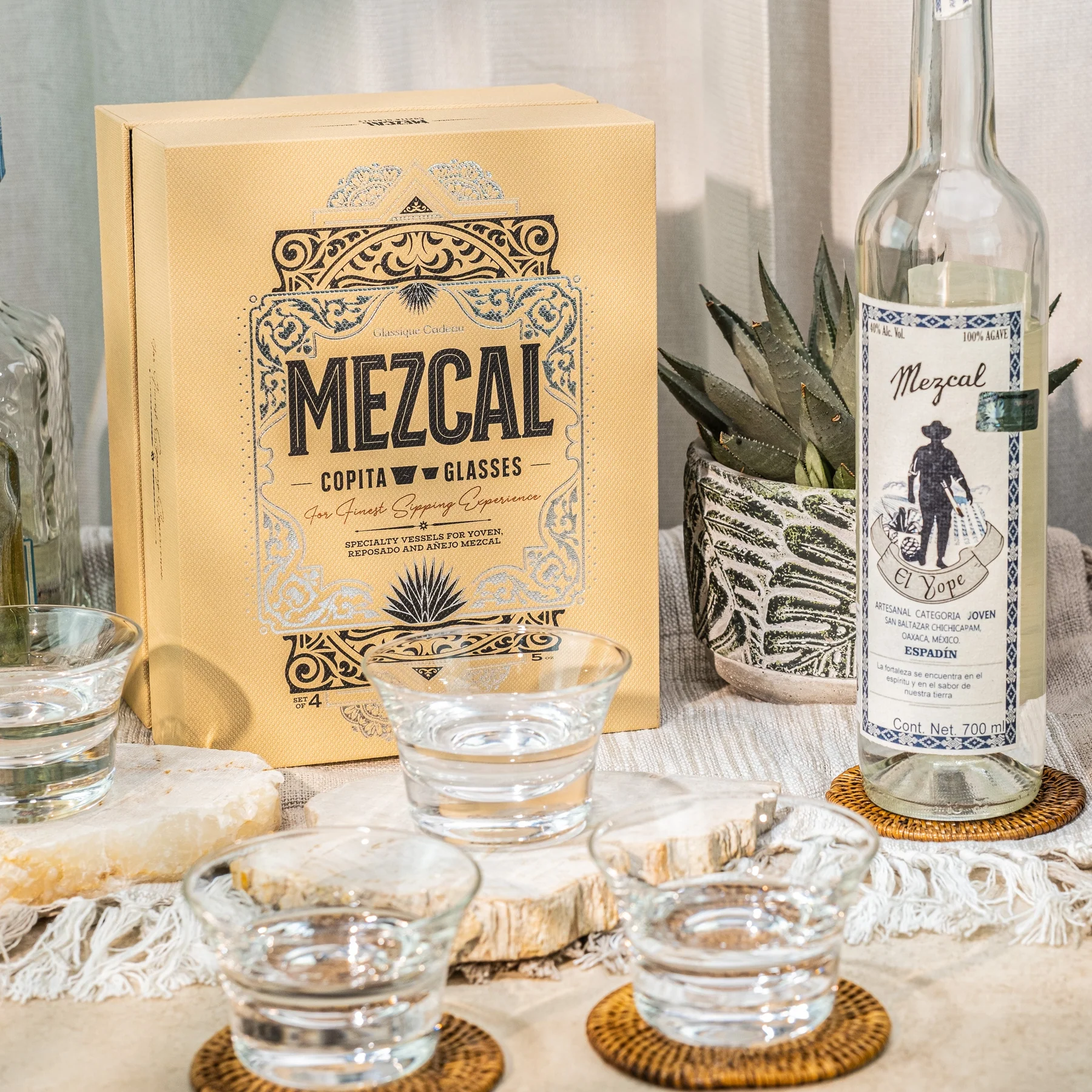Your experience at Tequila and Mezcal Tasting Mexico City