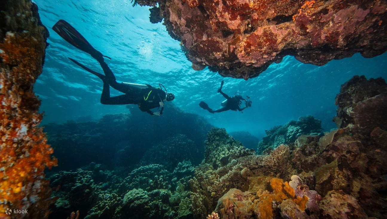 Canyon Dive Site