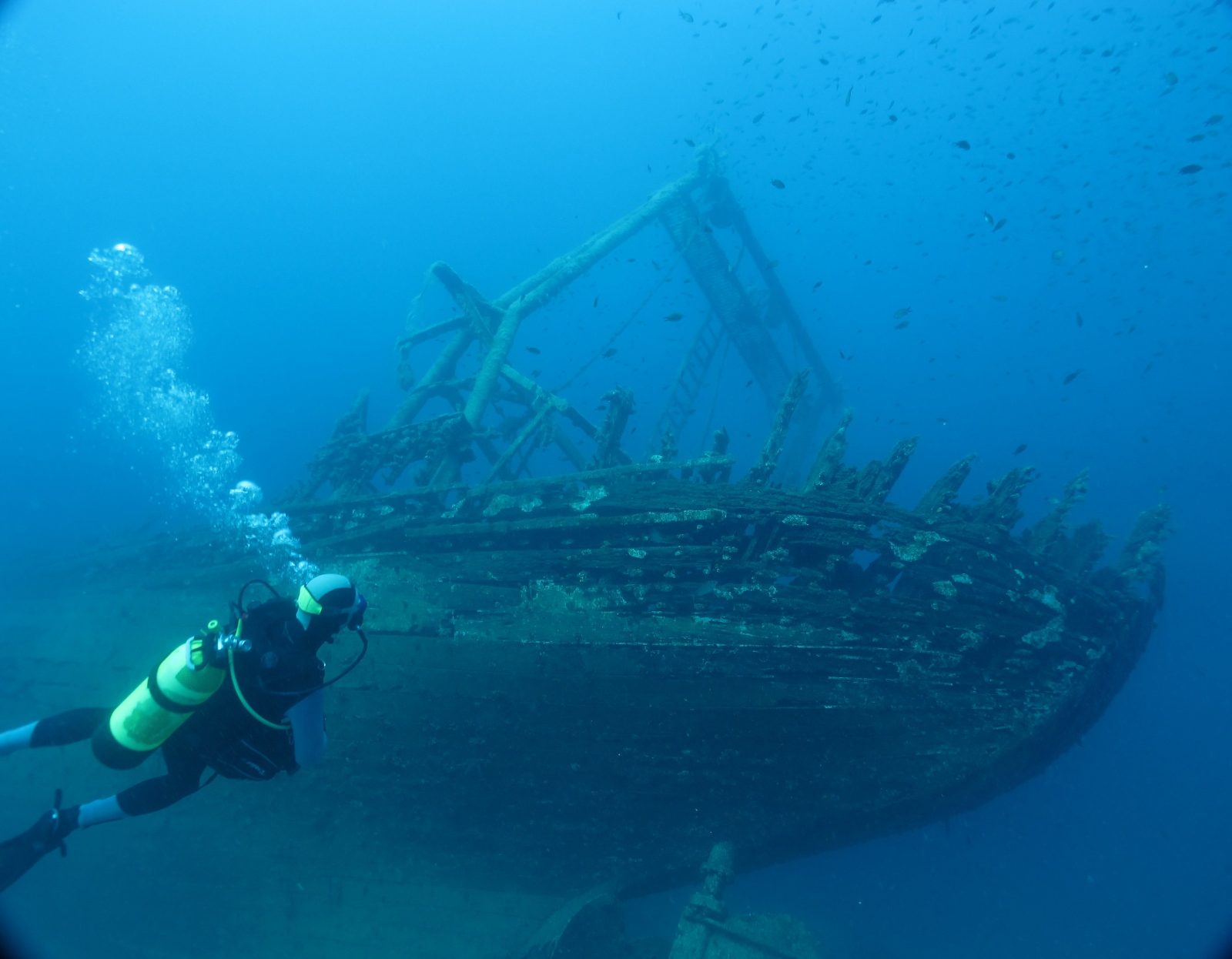 Your experience at Scuba Diving in Kemer Turkey