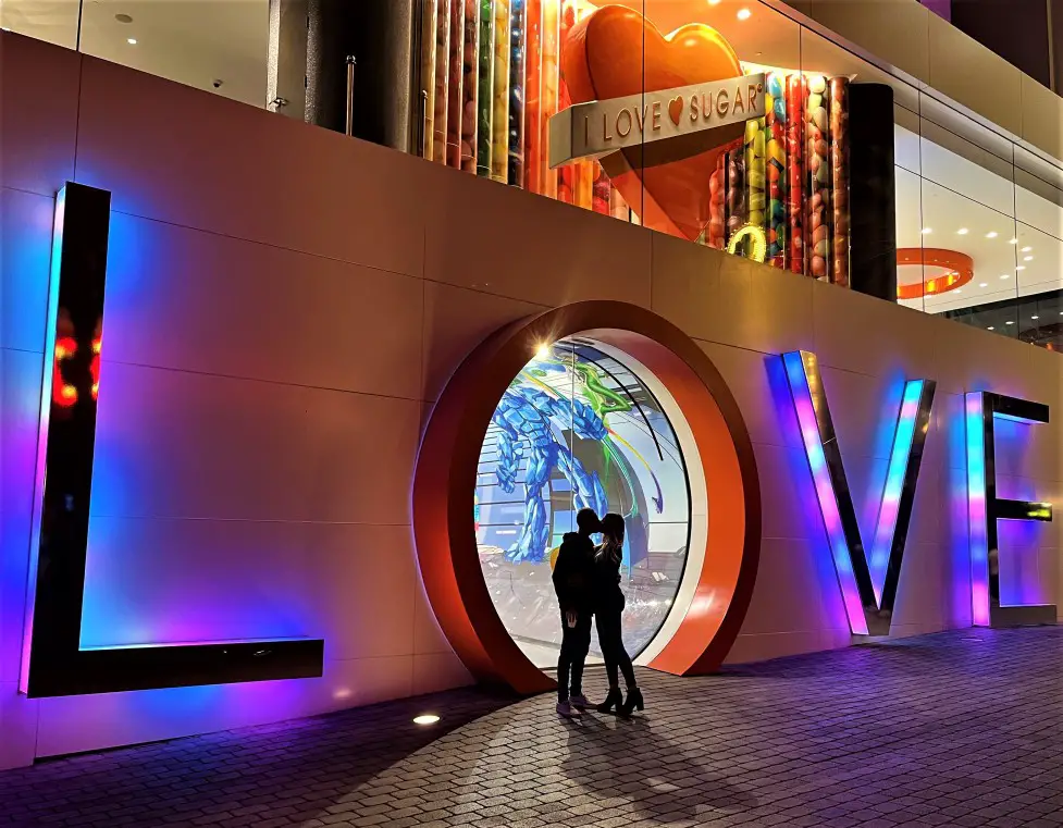 Your experience at Las Vegas Sign Wedding