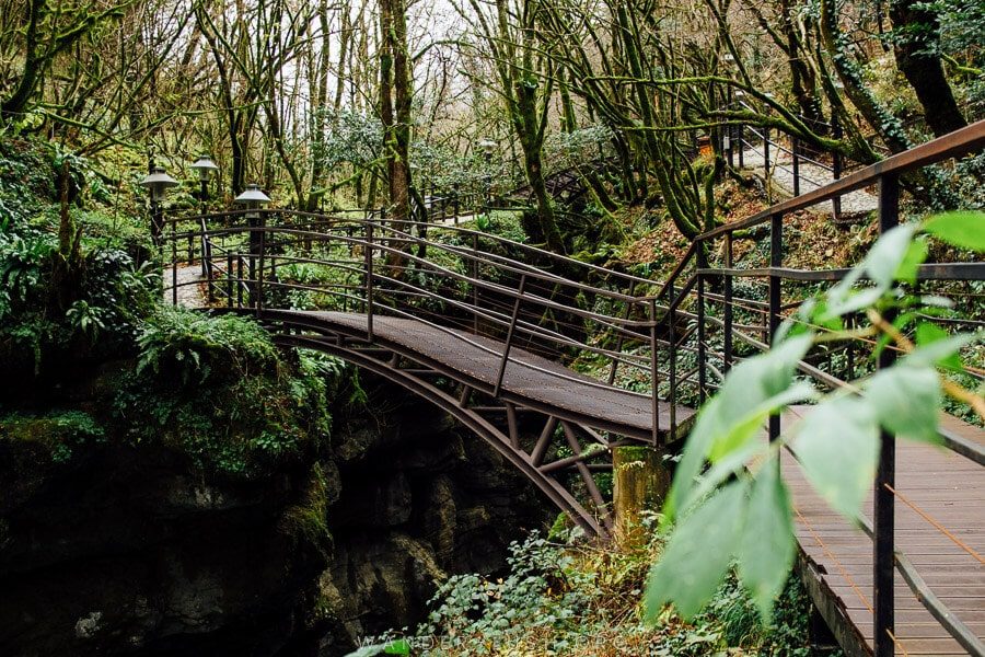Dadiani Path