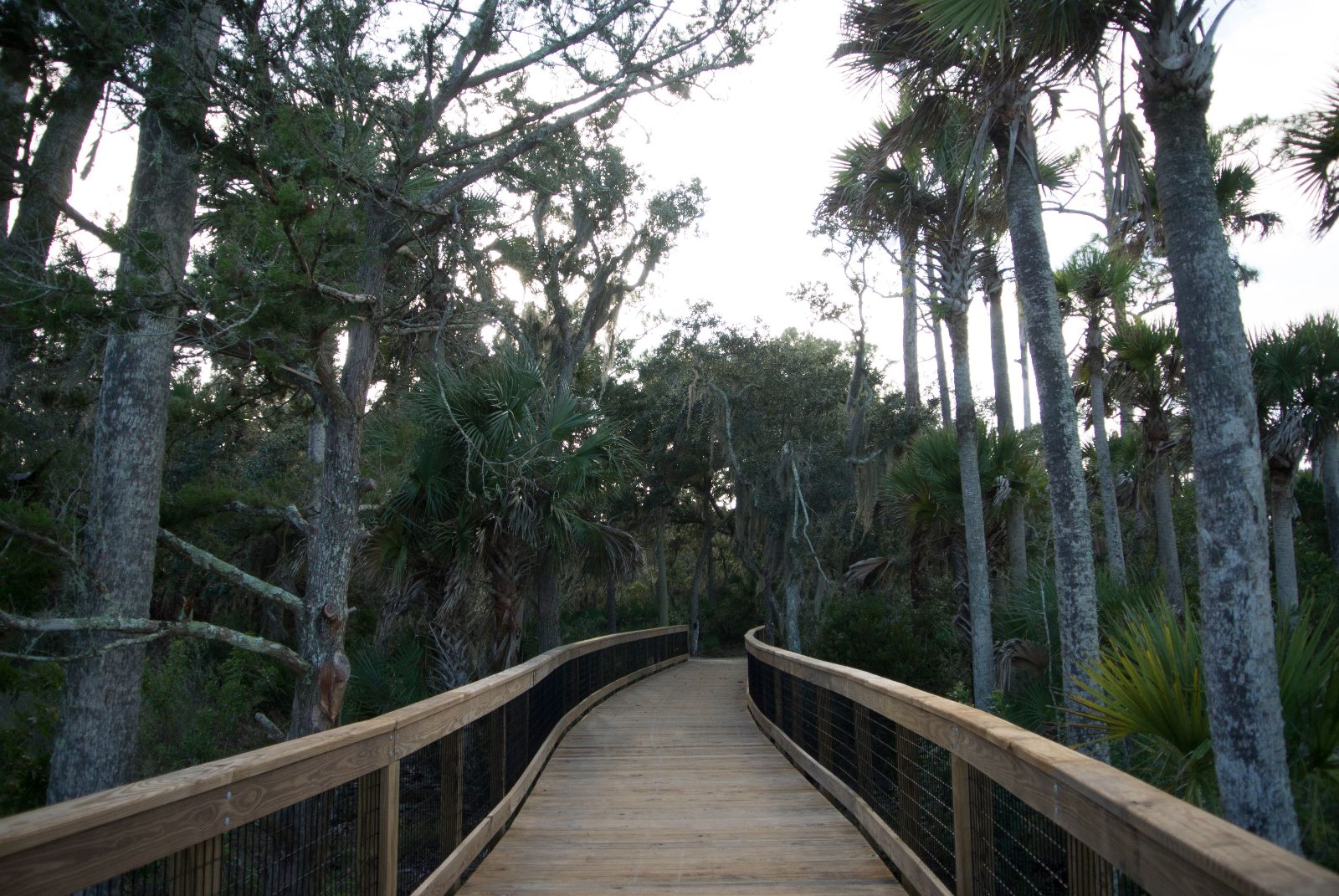 Upper Rock Nature Reserve