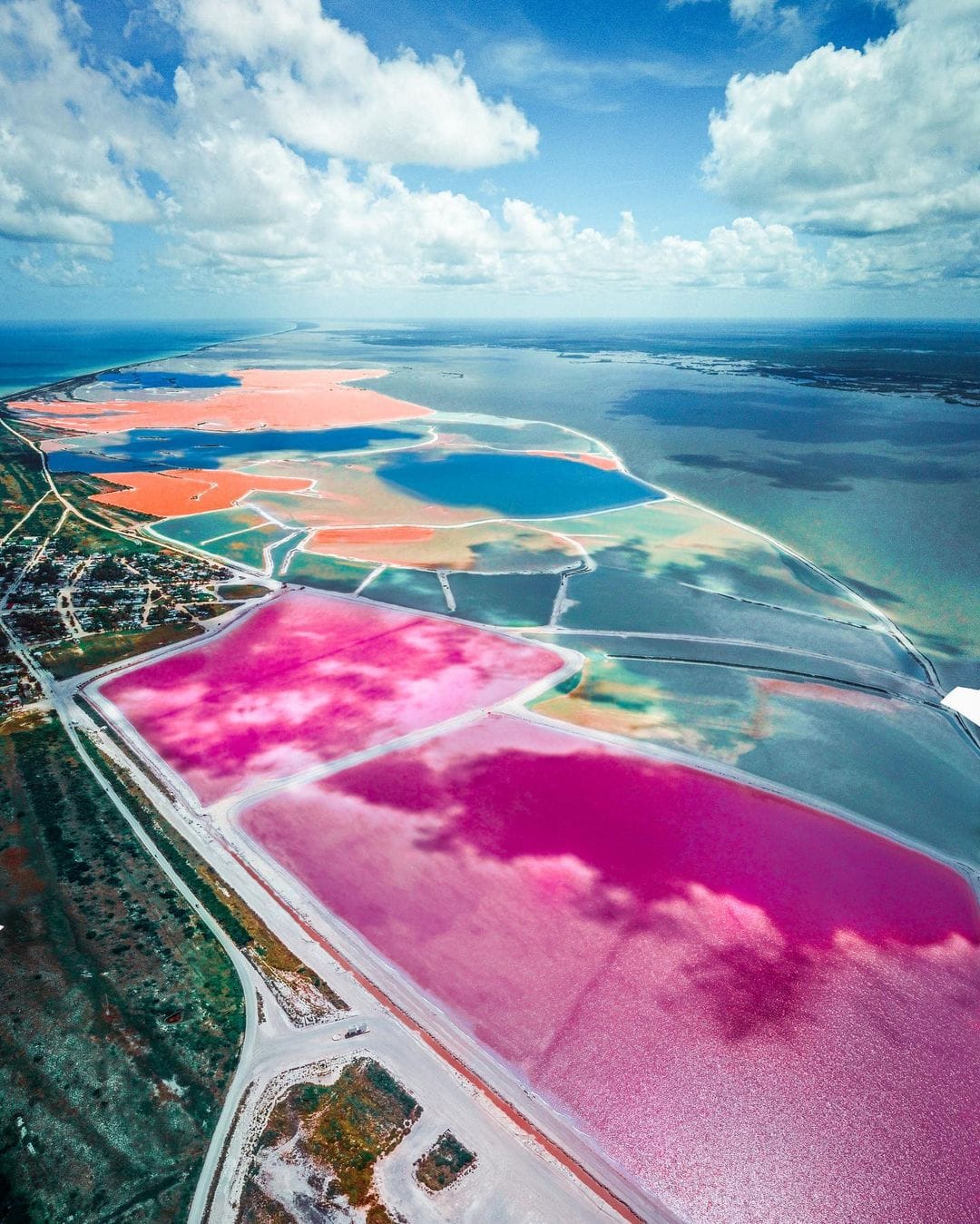 Rio Lagartos and Las Coloradas Tour