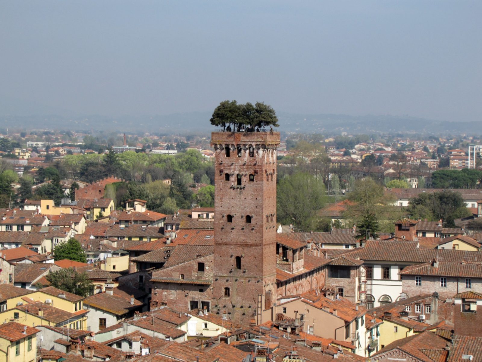 Torre Guinigi