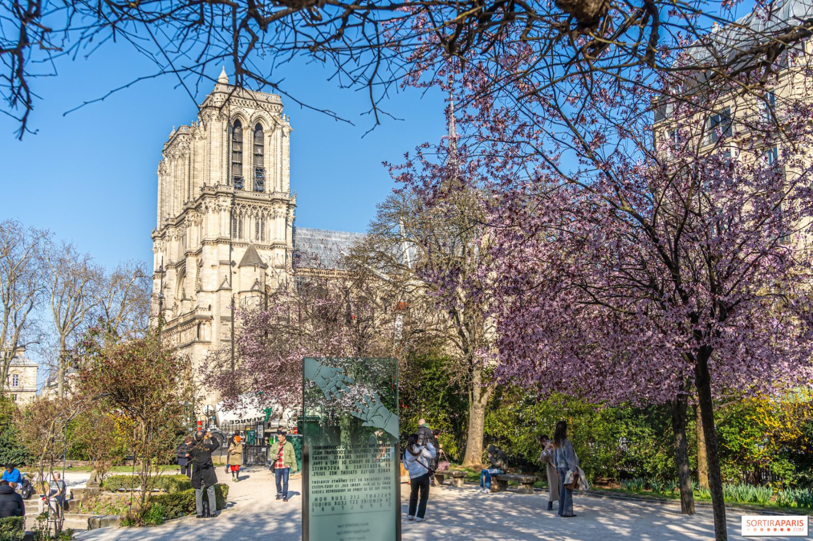 Square René Viviani