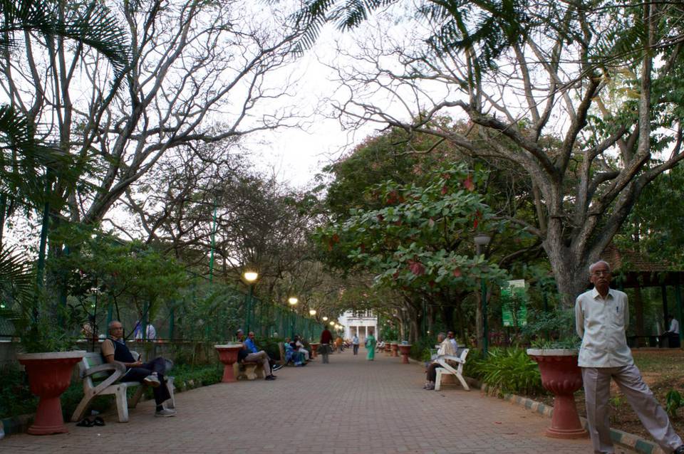 Parque MN Krishna Rao