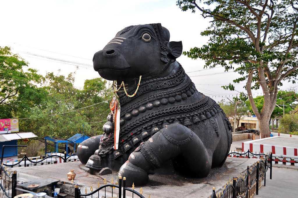 Templo del Toro (Dodda Basavana Gudi)