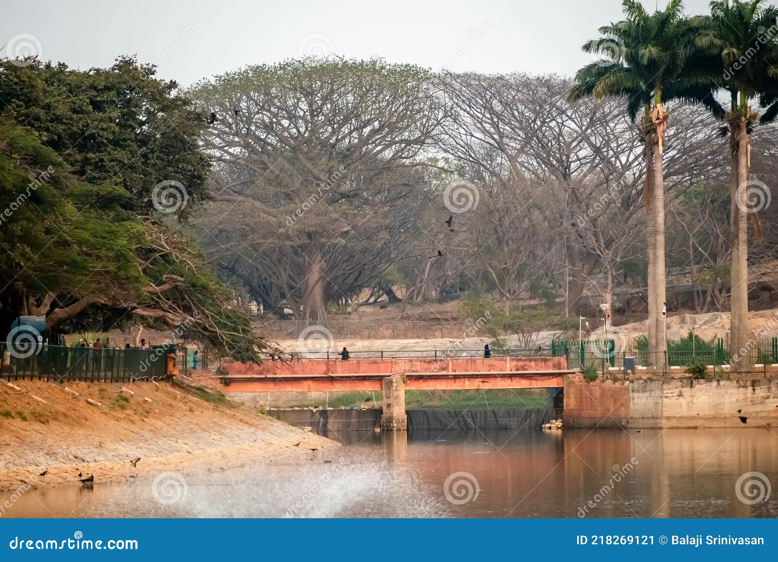 Puente del lago Lalbagh