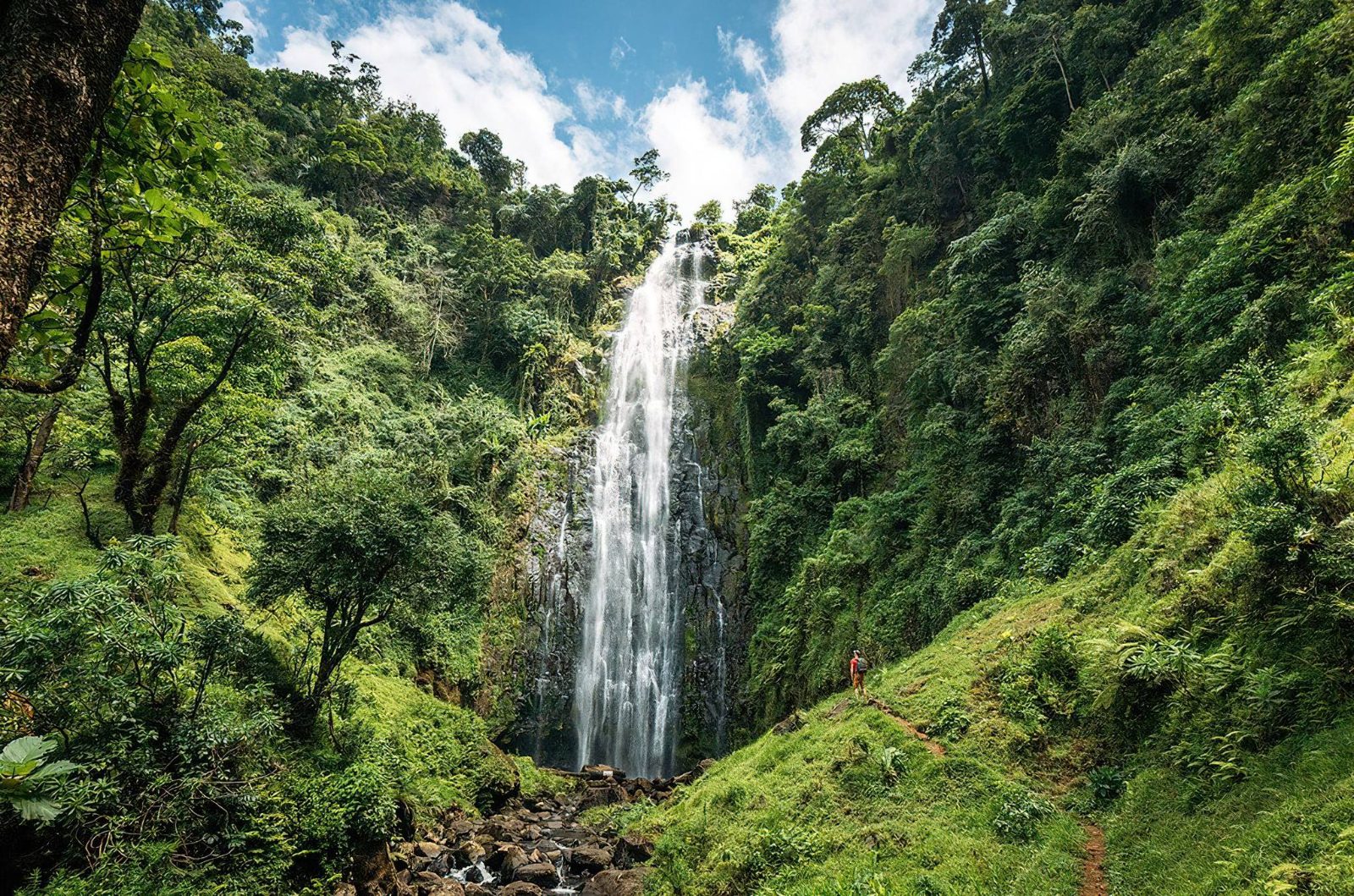 Materuni Waterfalls and Coffee Tour Reviews