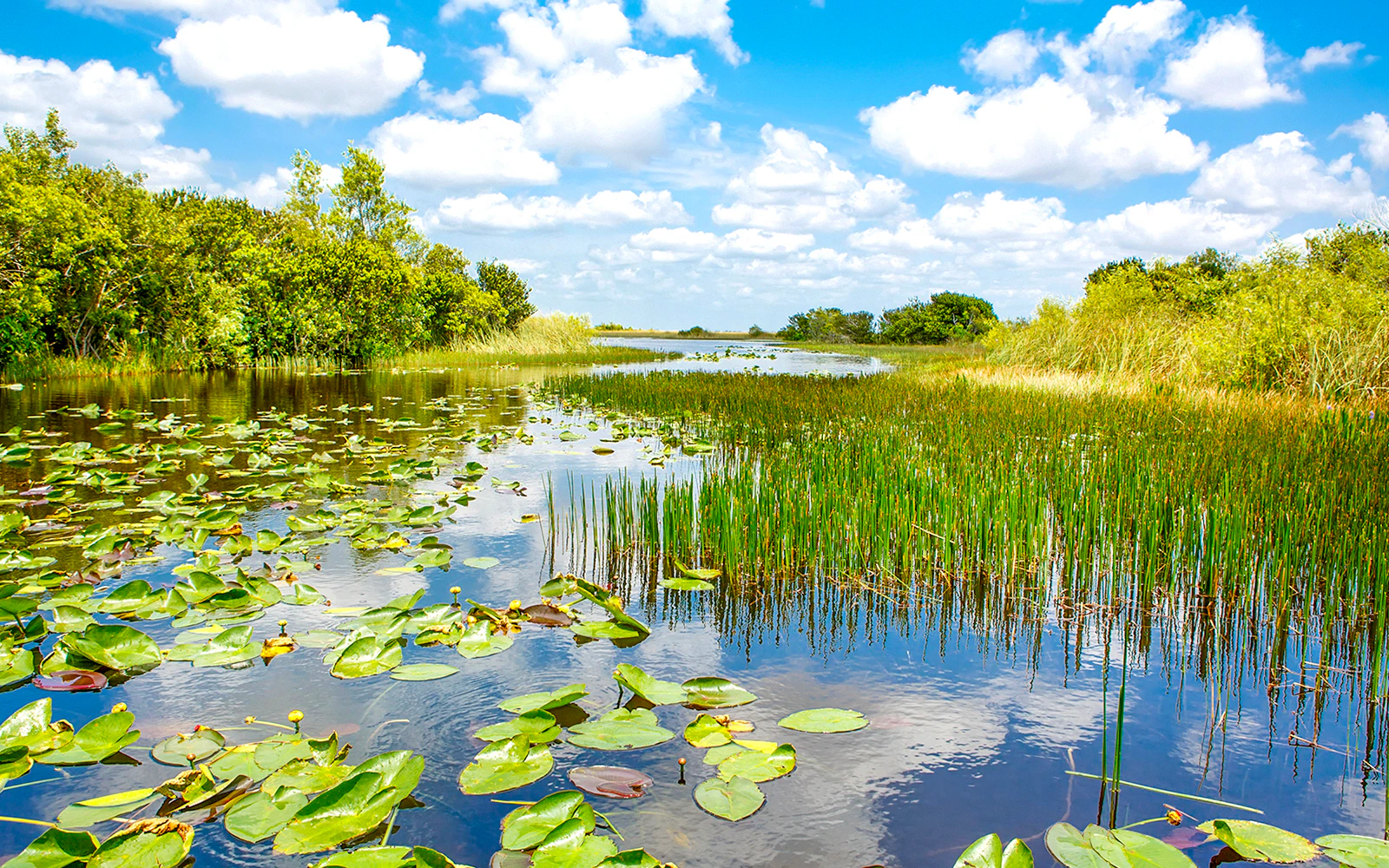 Everglades Tours from Orlando