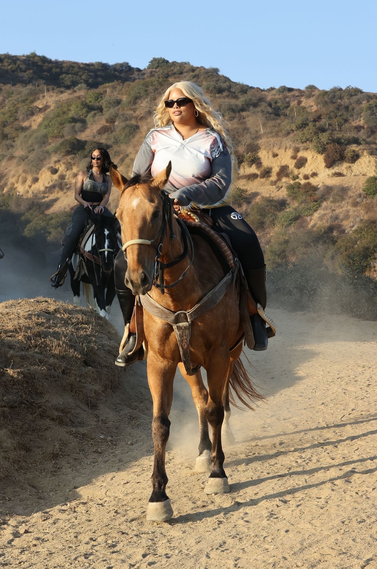 Horseback Riding Experience Levels