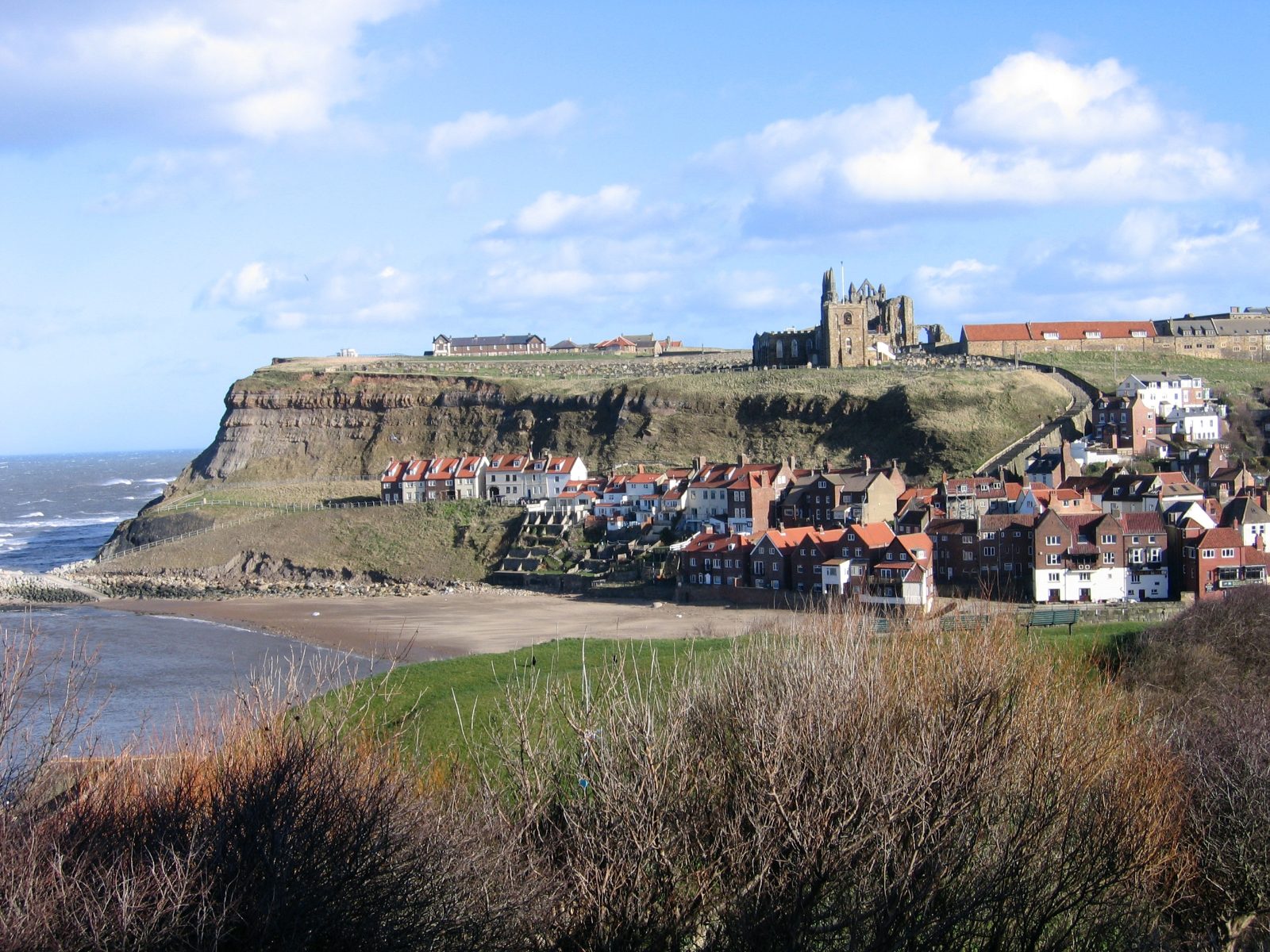 Clifftop Harbour Panorama