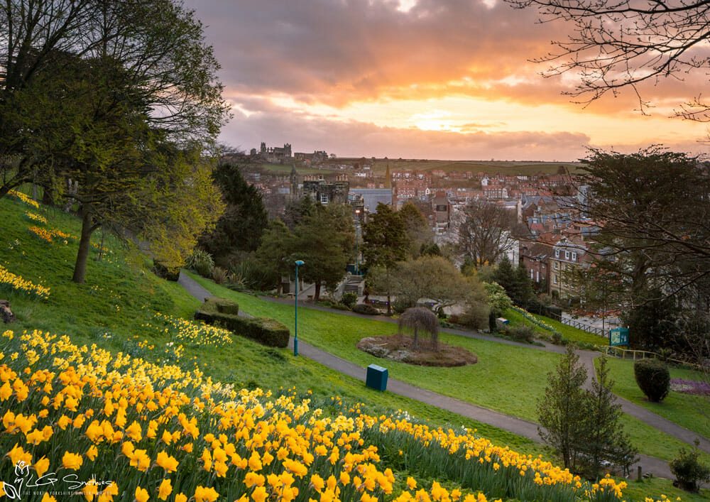 Pannett Park