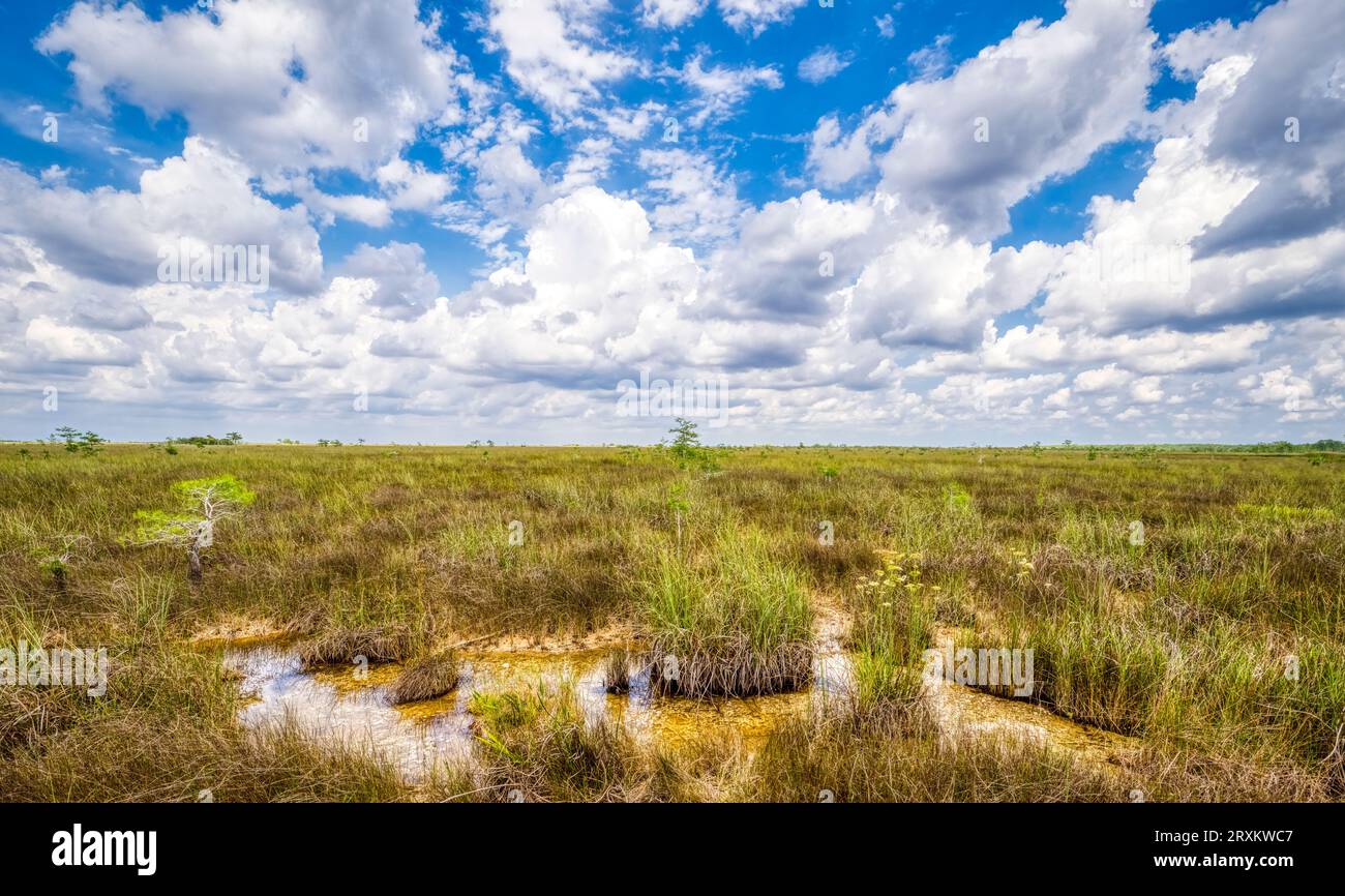 Sawgrass Recreation Park Tickets