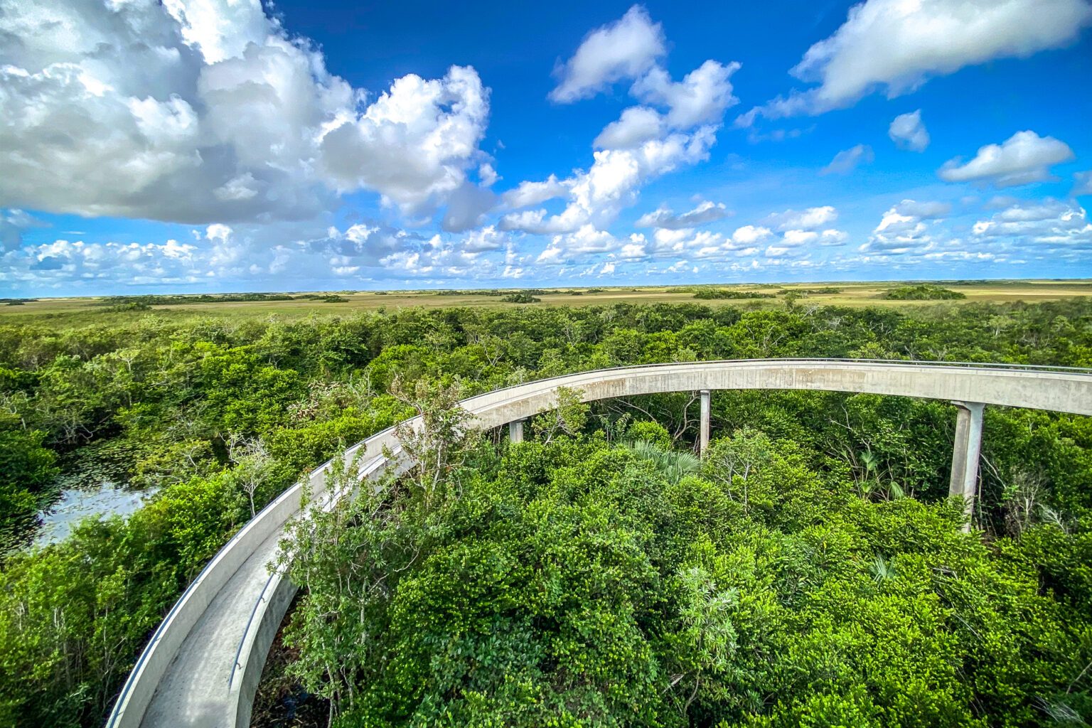 Shark Valley Tram & Bike Tours