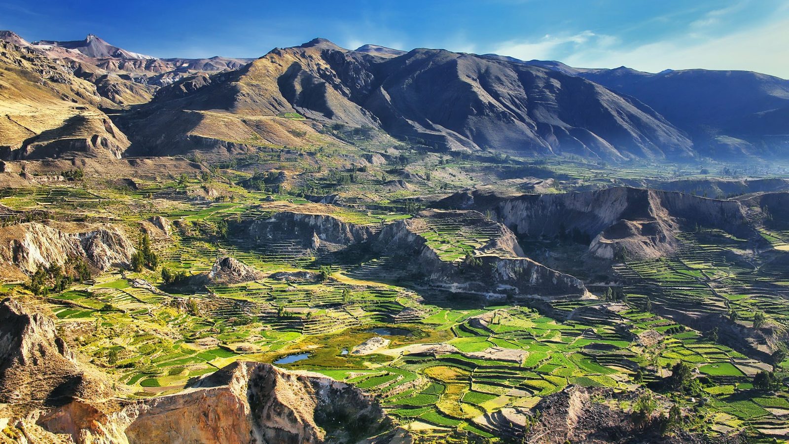 Colca Canyon Tour From Puno
