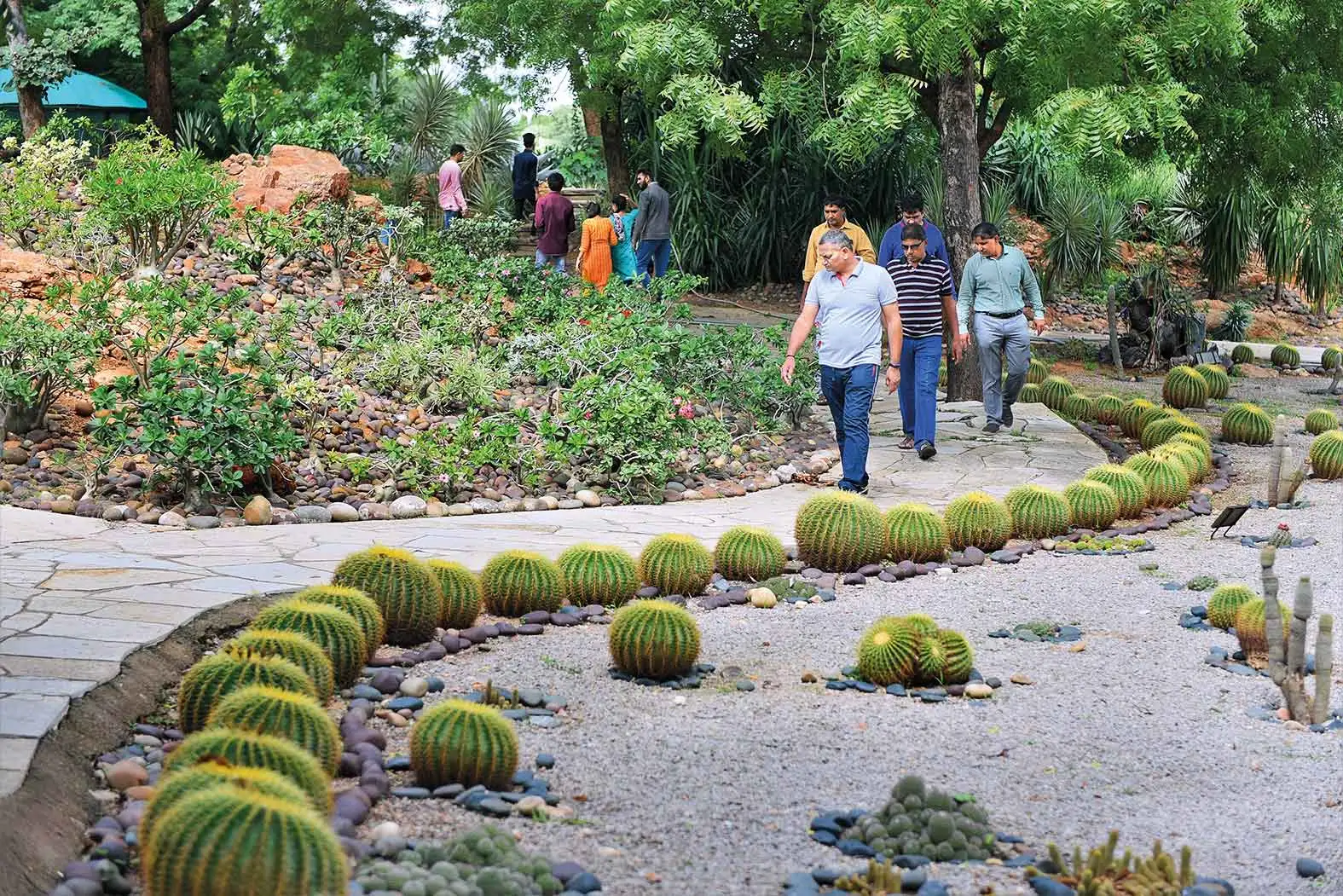 Desert Garden