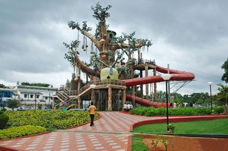 Machan Tree and toy train