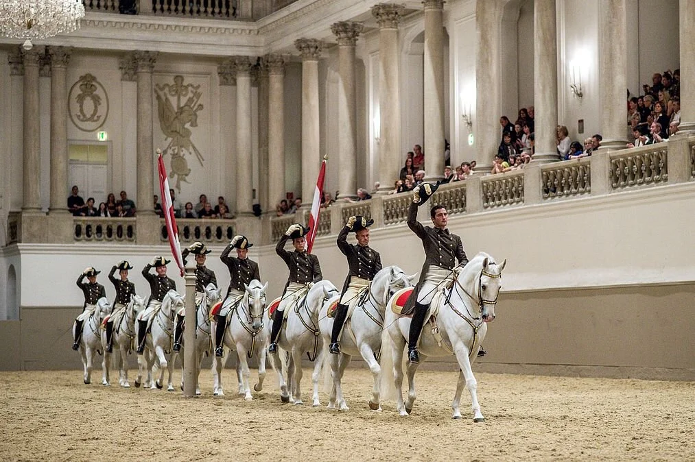 Lipizzaner Stallions Show Vienna