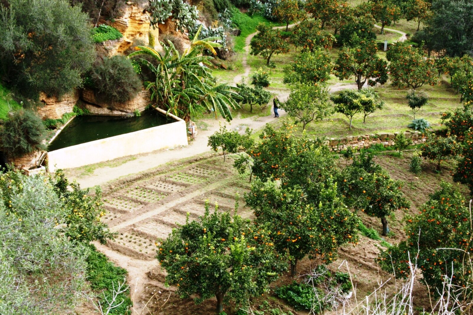 Kolymbethra Garden