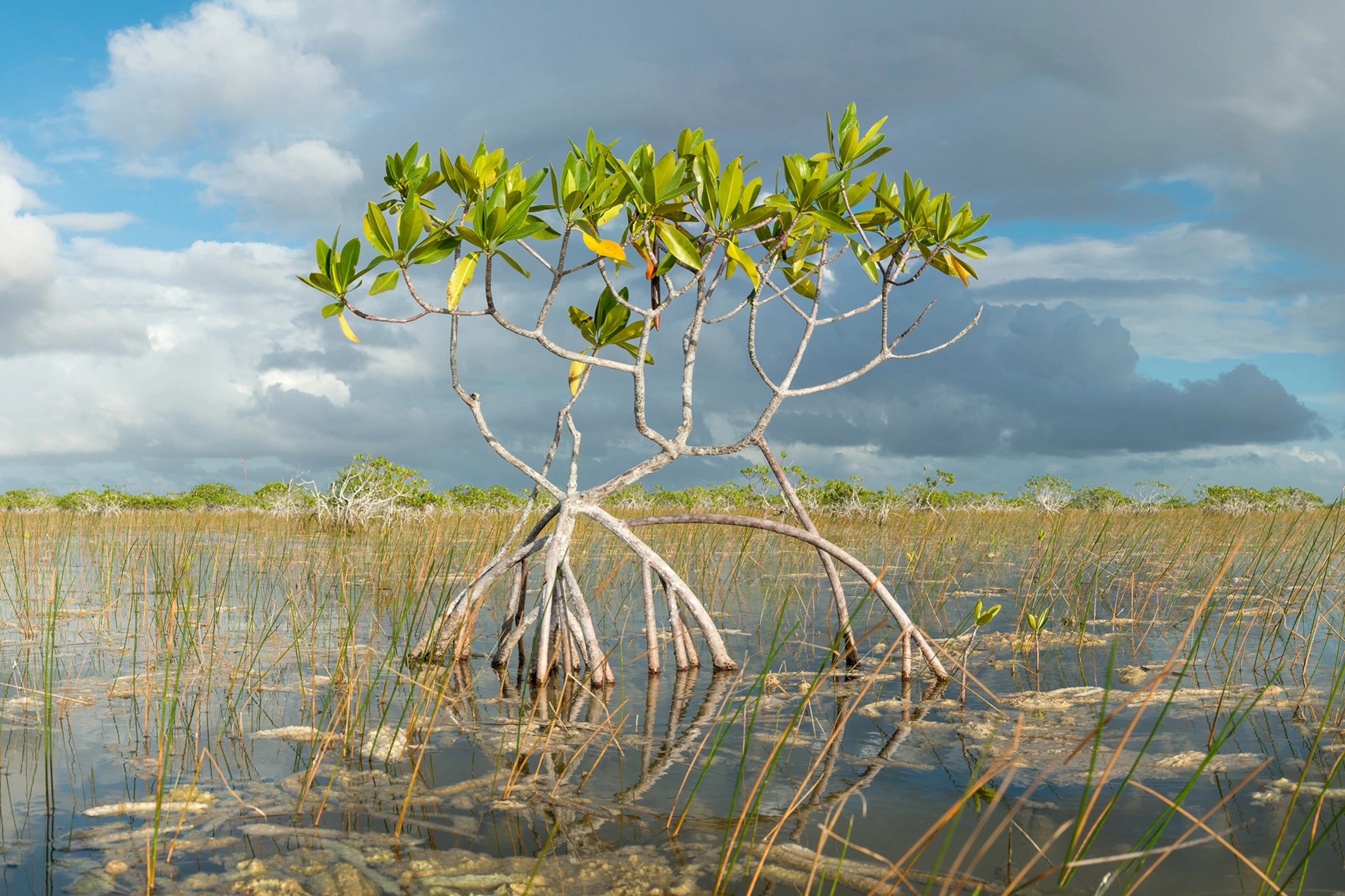 How Far Are the Everglades From Fort Lauderdale