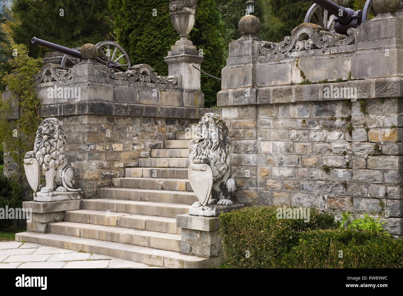 Guardian Lion Steps